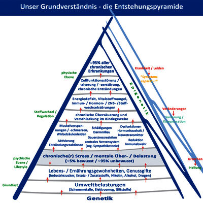 Die Entstehungspyramide des Naturheilzentrum Nürnberg